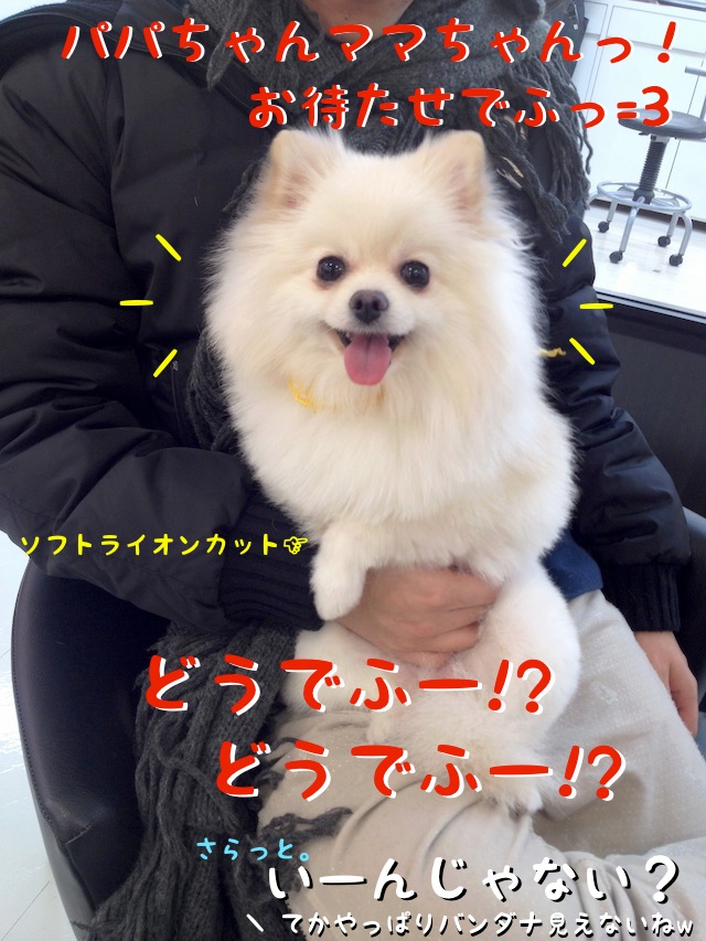 トリミング。その3-4.jpg