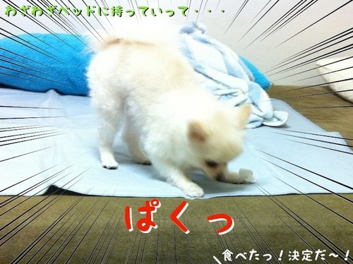 写真 11-08-02 23 52 11.jpeg