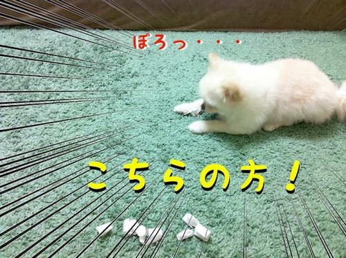 写真 11-08-02 23 52 58.jpeg