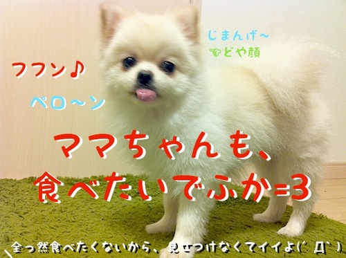 写真 11-08-13 23 01 45.jpeg