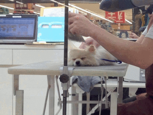 trm.gif